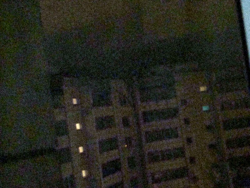 Палочники в домашних условиях видео