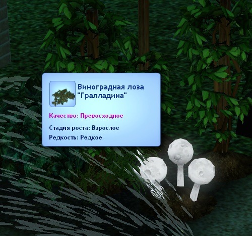1270615.jpg