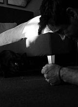 http://4put.ru/pictures/max/415/1277279.gif