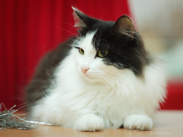 http://4put.ru/pictures/max/420/1291234.jpg