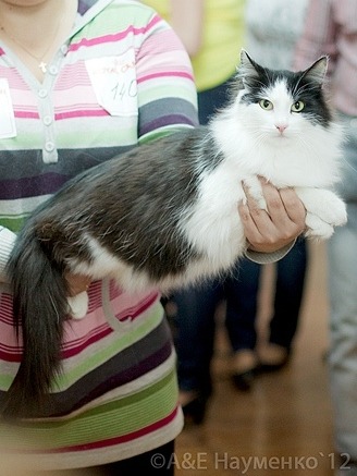http://4put.ru/pictures/max/420/1291236.jpg