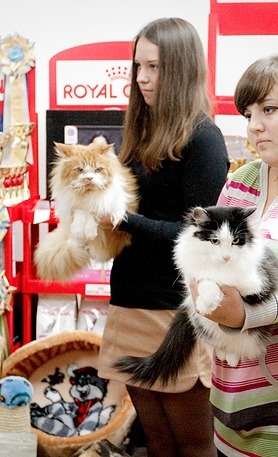 http://4put.ru/pictures/max/420/1291239.jpg