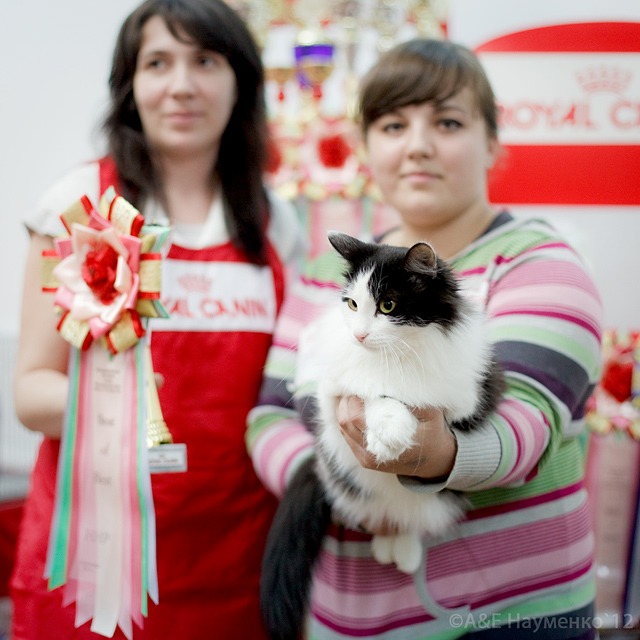 http://4put.ru/pictures/max/420/1291245.jpg