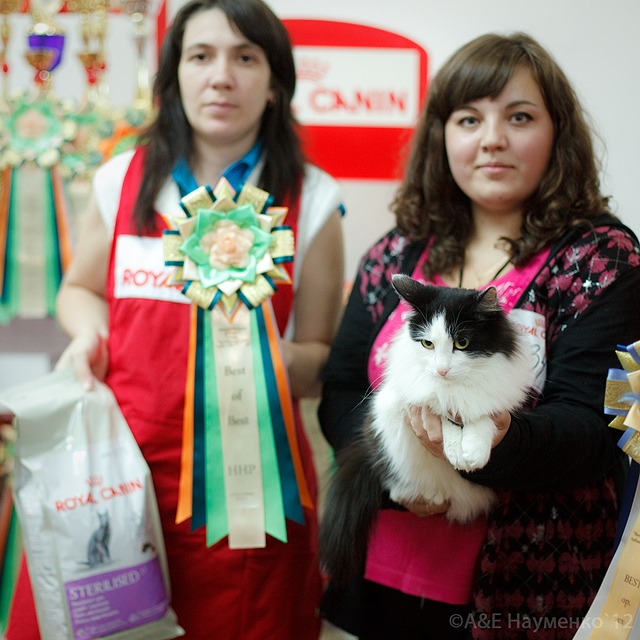http://4put.ru/pictures/max/420/1291247.jpg