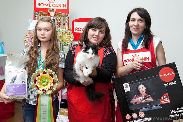 http://4put.ru/pictures/max/420/1291264.jpg