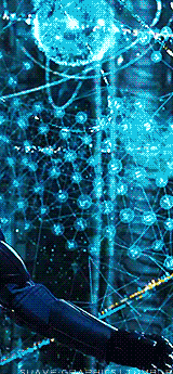 http://4put.ru/pictures/max/423/1302327.gif