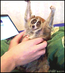 http://4put.ru/pictures/max/43/134681.gif