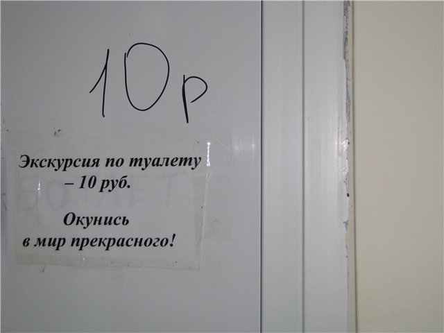 1336806.jpg