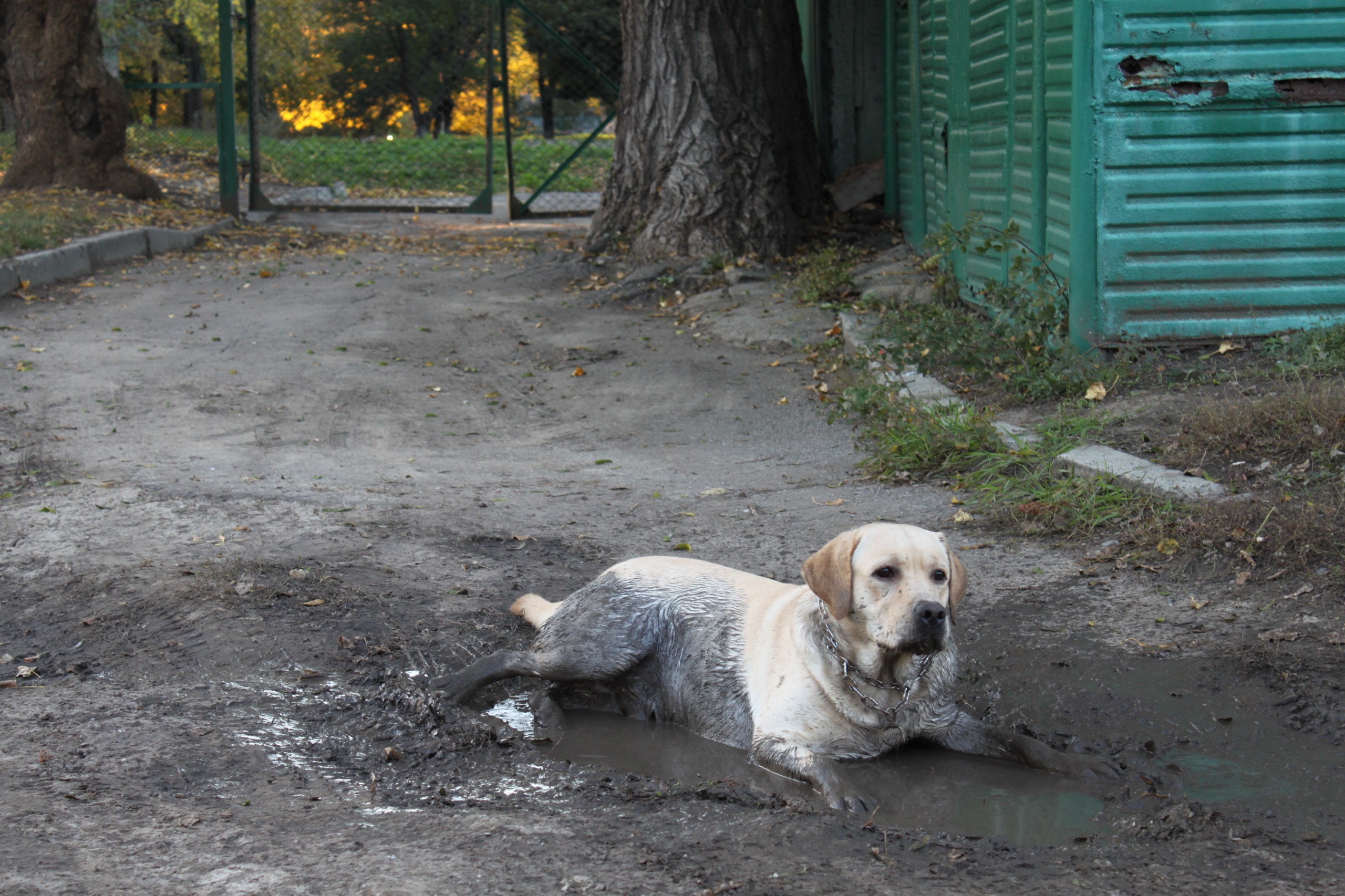http://4put.ru/pictures/max/436/1342000.jpg