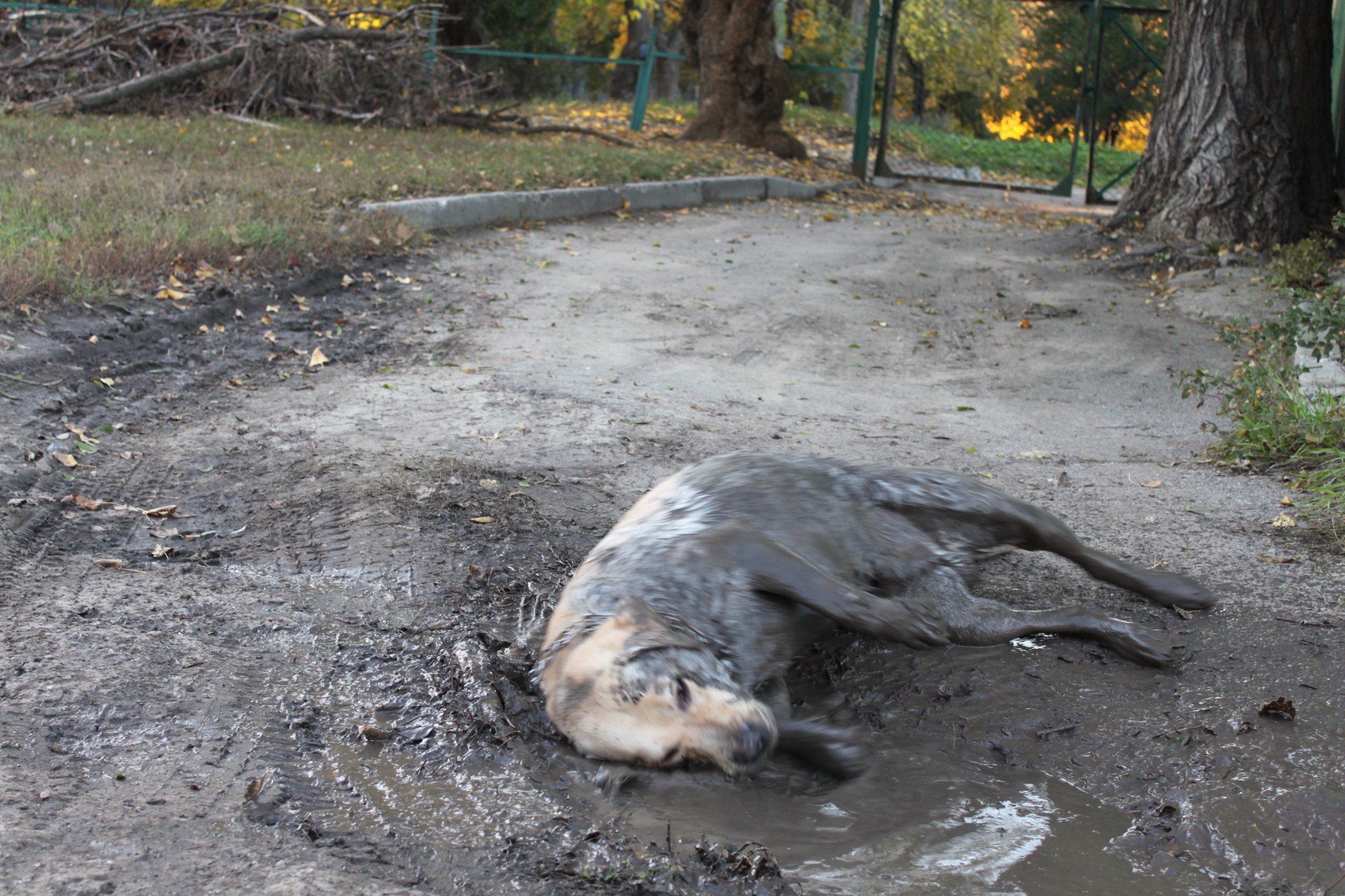 http://4put.ru/pictures/max/436/1342005.jpg