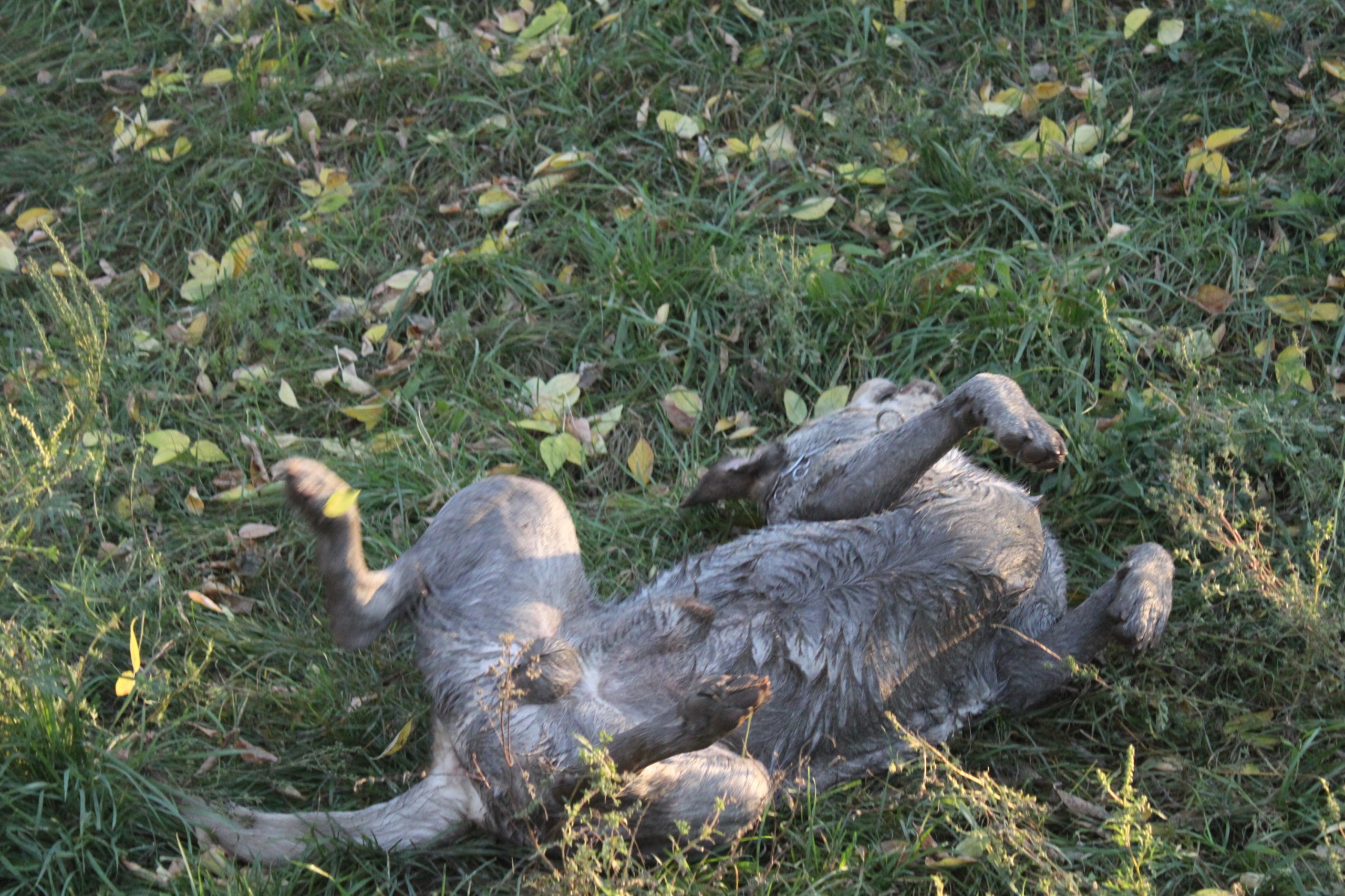 http://4put.ru/pictures/max/436/1342012.jpg