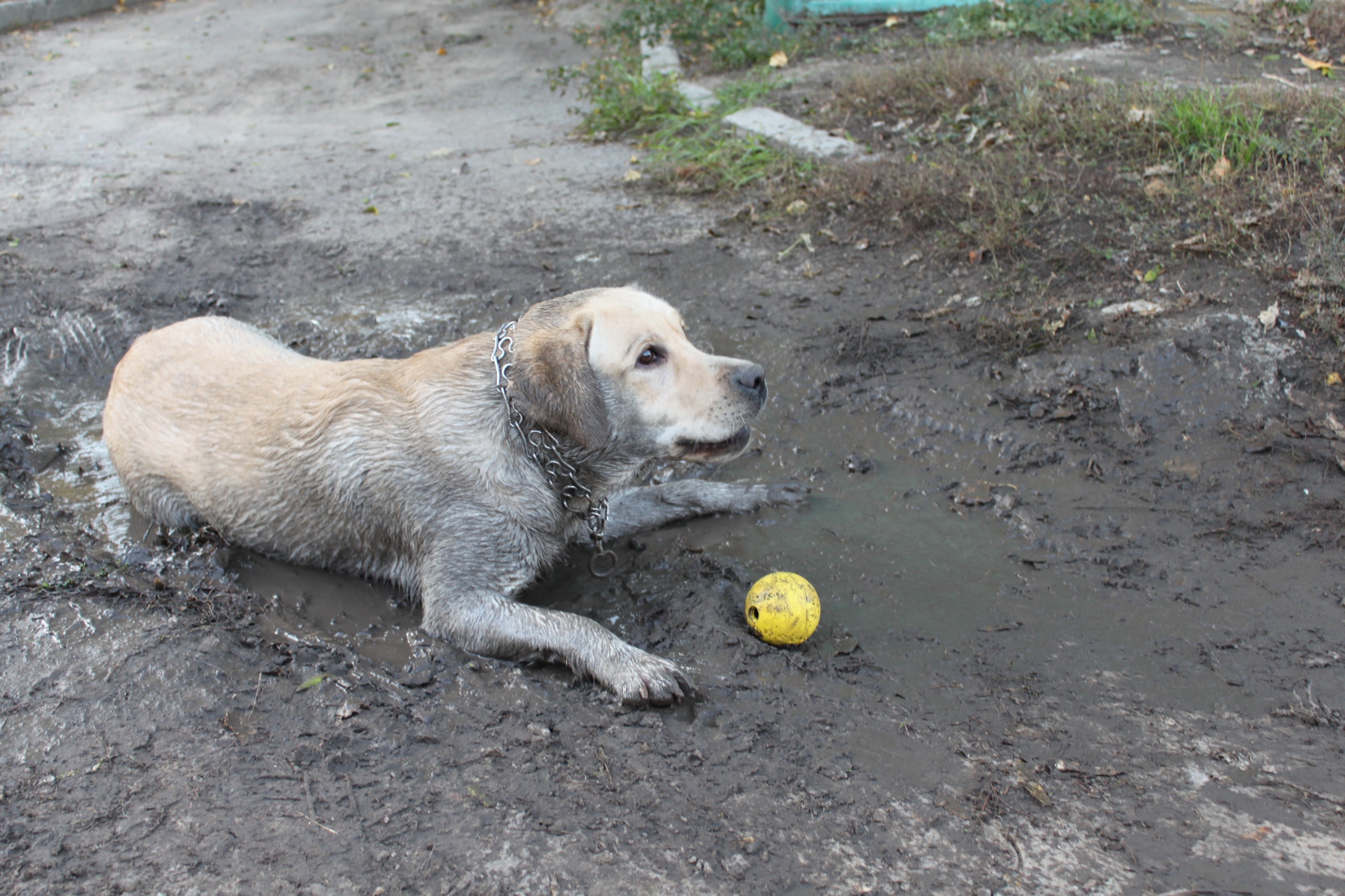 http://4put.ru/pictures/max/436/1342013.jpg