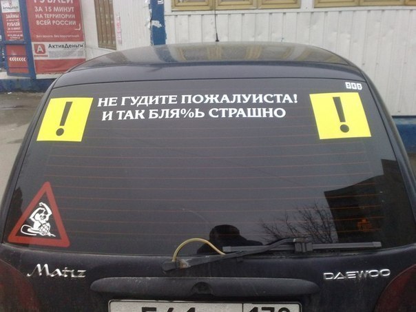 1343302.jpg
