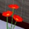 Flower Kosmeya Sims 3 seasons