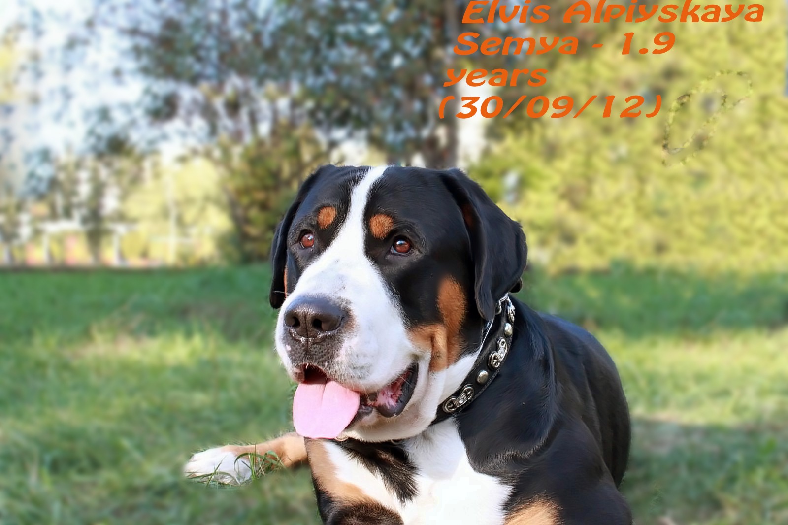 http://4put.ru/pictures/max/446/1370777.jpg