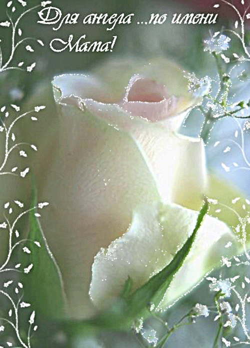http://4put.ru/pictures/max/456/1403325.gif