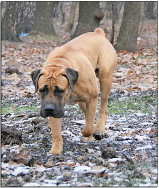 http://4put.ru/pictures/max/461/1418882.jpg
