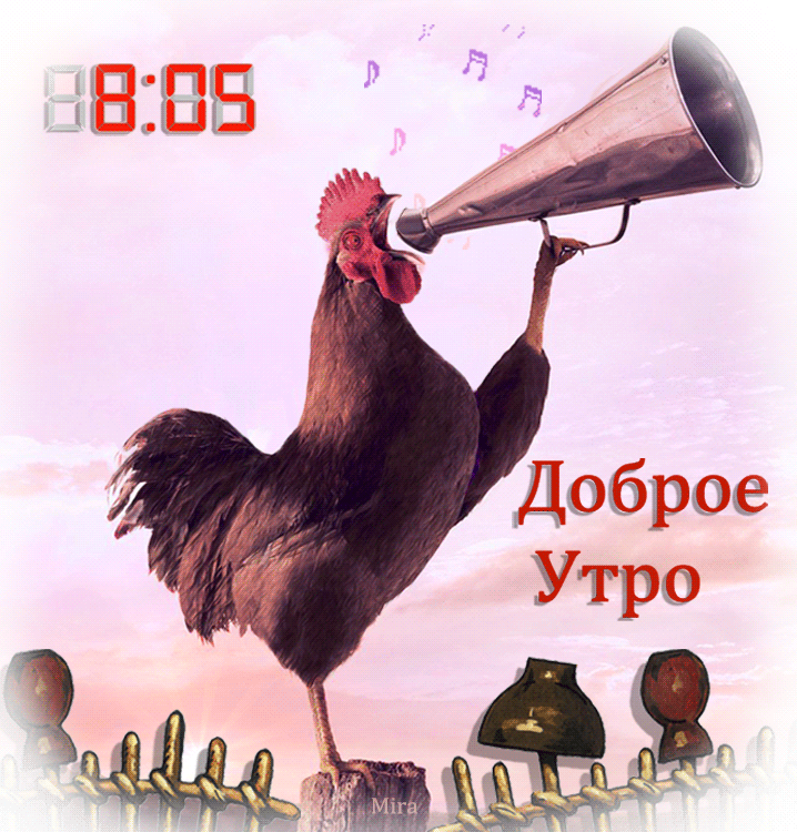 http://4put.ru/pictures/max/468/1438225.gif