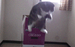 http://4put.ru/pictures/max/468/1438675.gif