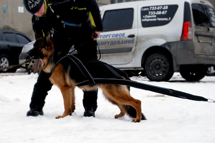 http://4put.ru/pictures/max/470/1446410.jpg