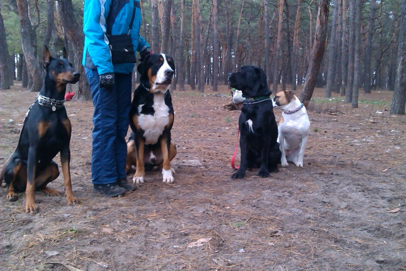 http://4put.ru/pictures/max/471/1449198.jpg