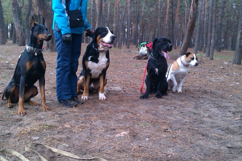 http://4put.ru/pictures/max/471/1449201.jpg
