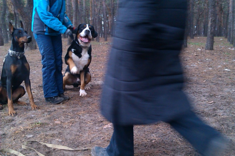 http://4put.ru/pictures/max/471/1449202.jpg