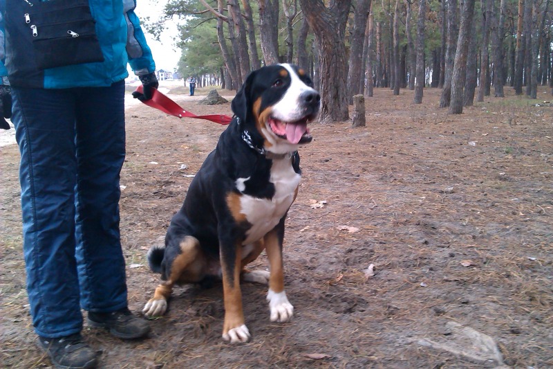 http://4put.ru/pictures/max/471/1449207.jpg
