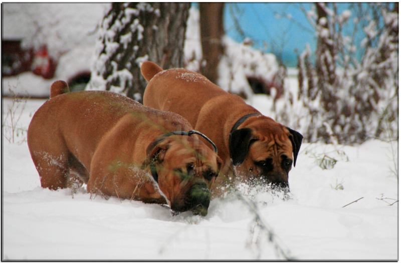 http://4put.ru/pictures/max/475/1460661.jpg