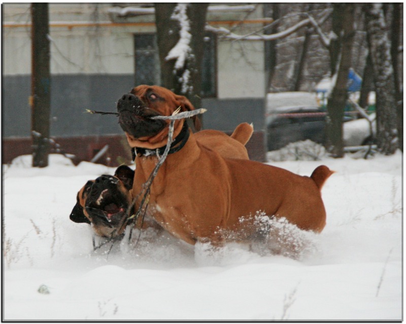 http://4put.ru/pictures/max/475/1460662.jpg