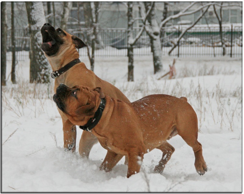 http://4put.ru/pictures/max/475/1460669.jpg