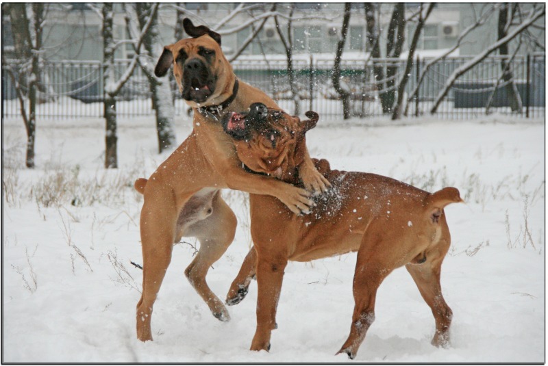 http://4put.ru/pictures/max/475/1460672.jpg