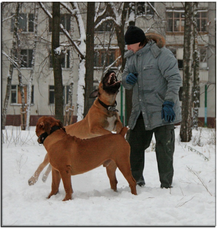 http://4put.ru/pictures/max/475/1460675.jpg
