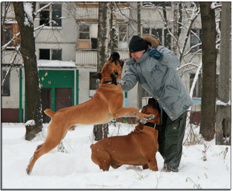 http://4put.ru/pictures/max/475/1460677.jpg