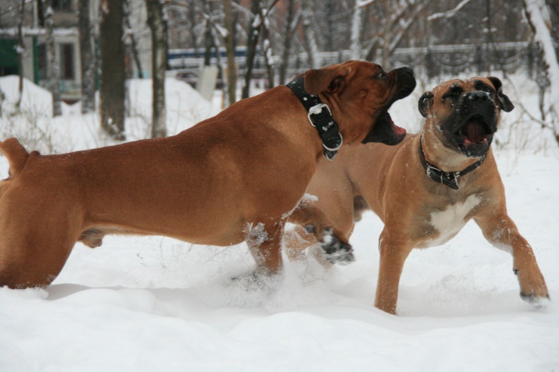 http://4put.ru/pictures/max/475/1460681.jpg