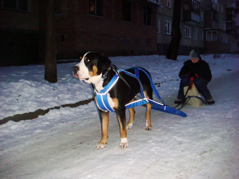 http://4put.ru/pictures/max/480/1477607.jpg