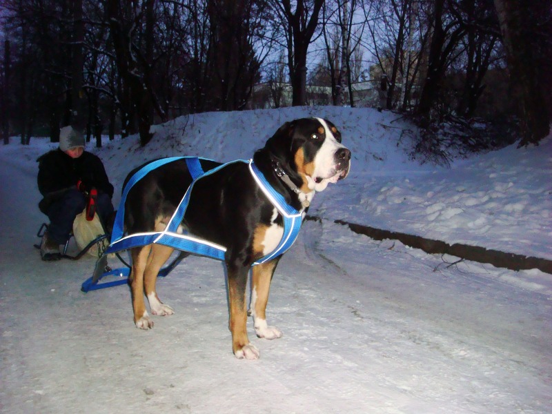 http://4put.ru/pictures/max/480/1477610.jpg