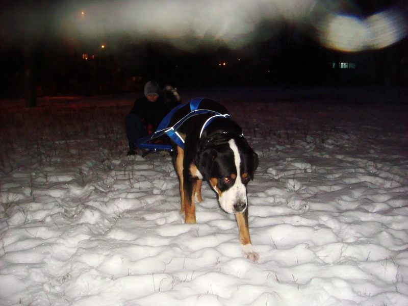 http://4put.ru/pictures/max/480/1477626.jpg