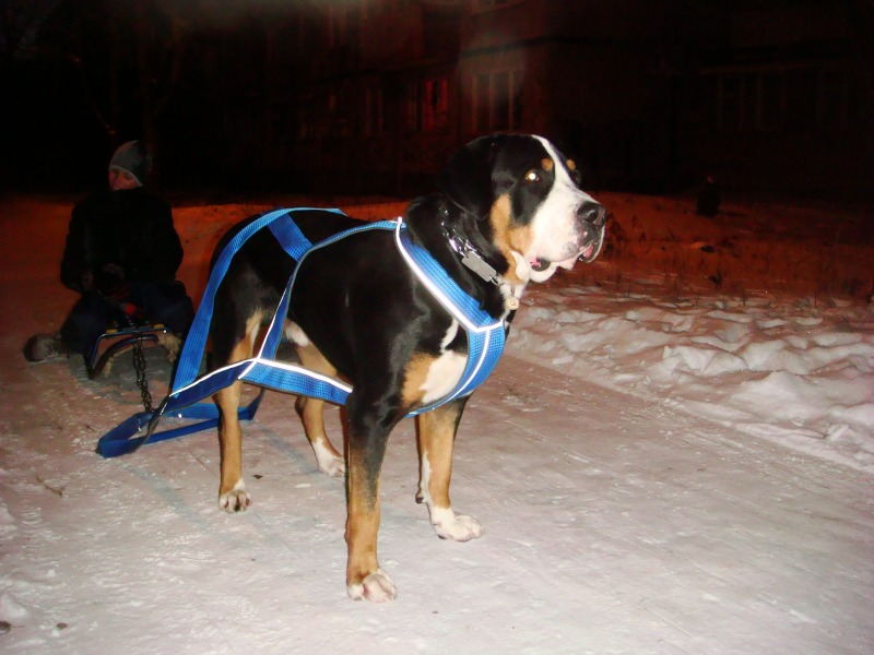 http://4put.ru/pictures/max/481/1477647.jpg