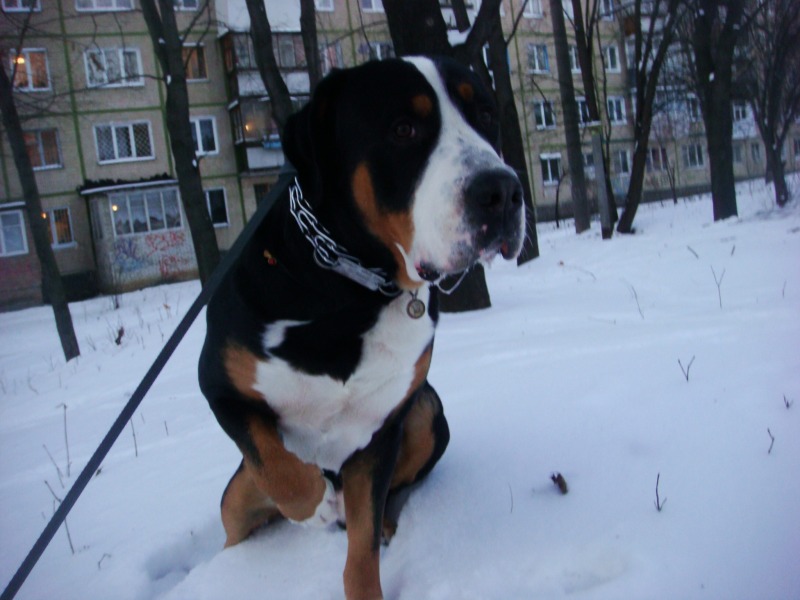 http://4put.ru/pictures/max/481/1477764.jpg