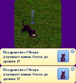 1524390.jpg