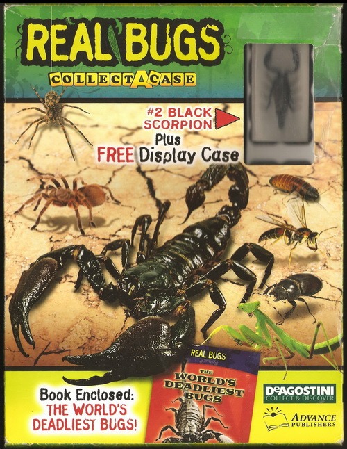 Коллекция насекомых Robin73