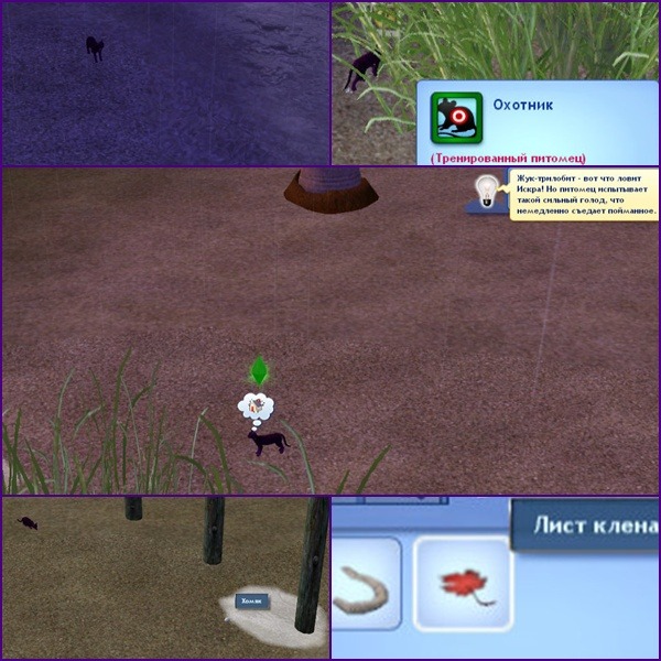 1527309.jpg