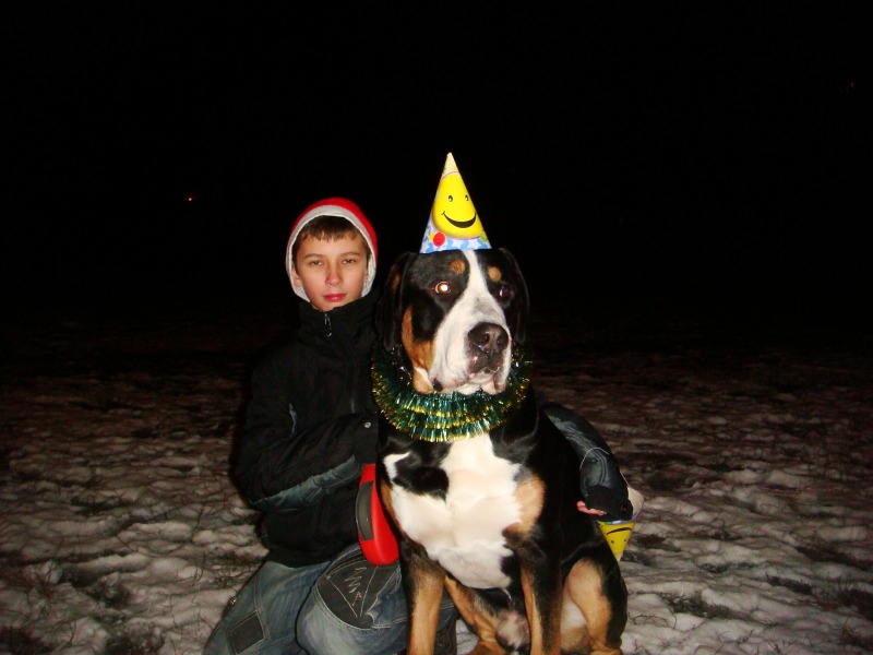 http://4put.ru/pictures/max/497/1529656.jpg