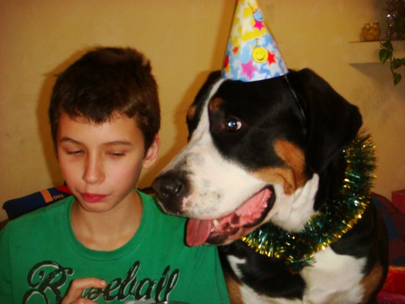http://4put.ru/pictures/max/497/1529681.jpg