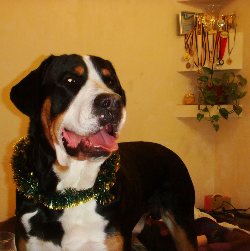 http://4put.ru/pictures/max/499/1534821.jpg