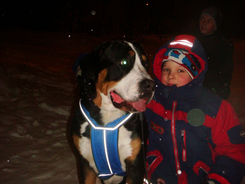 http://4put.ru/pictures/max/499/1534851.jpg