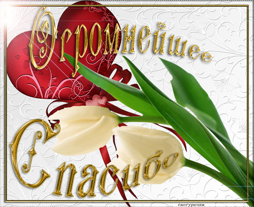 http://4put.ru/pictures/max/50/153991.gif
