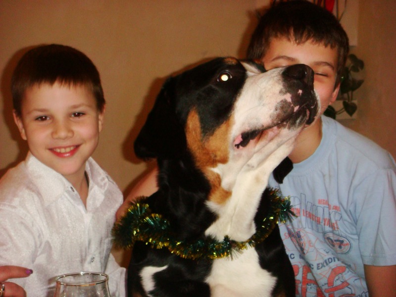 http://4put.ru/pictures/max/500/1536677.jpg