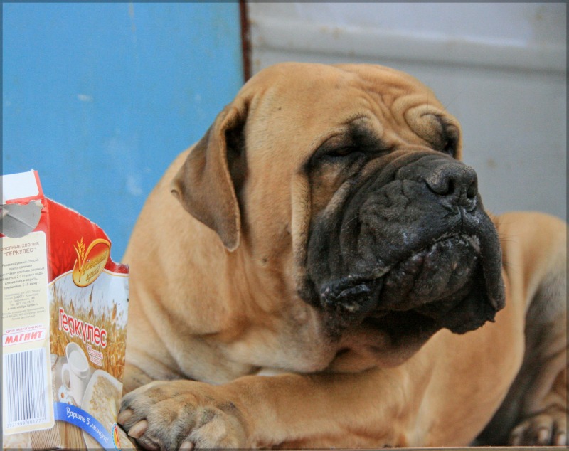 http://4put.ru/pictures/max/500/1538881.jpg